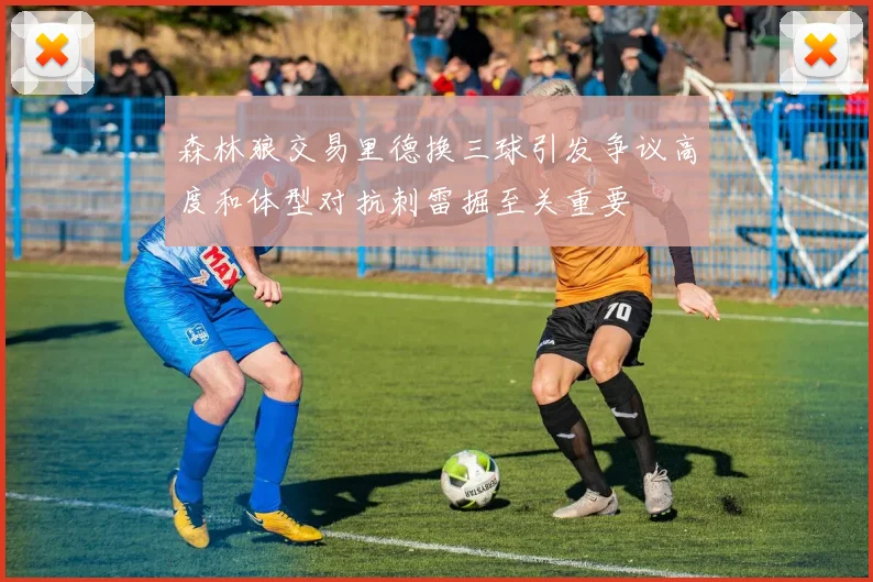 森林狼交易里德换三球引发争议高度和体型对抗刺雷掘至关重要