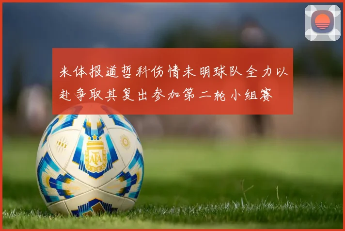 米体报道哲科伤情未明球队全力以赴争取其复出参加第二轮小组赛